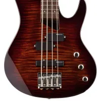 Бас-гитара ESP LTD B-50 FM DBSB