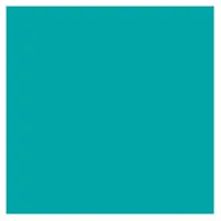 ROSCO SUPERGEL №374 Sea Green - Светофильтр пленочный цвета морской волны (лист 50х61см) ROSCO SUPERGEL №374 Sea Green - Светофильтр пленочный цвета морской волны (лист 50х61см)