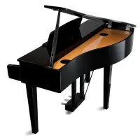 Kawai DG30EP Рояль цифровой с банкеткой, 88 клавиш, чёрное дерево, полированный Kawai DG30EP Рояль цифровой с банкеткой, 88 клавиш, чёрное дерево, полированный