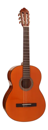 Cort AC100DX YT