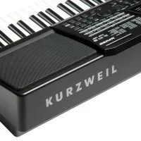 Kurzweil KP200 LB Синтезатор, 61 клавиша, полифония 128, цвет чёрный Kurzweil KP200 LB Синтезатор, 61 клавиша, полифония 128, цвет чёрный