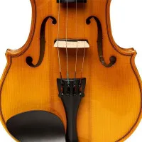 STAGG VN-4/4 ELEC EF Электроскрипка размера 4/4 в комплекте STAGG VN-4/4 ELEC EF Электроскрипка размера 4/4 в комплекте
