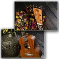 Укулеле Flight NUT 310 + чехол