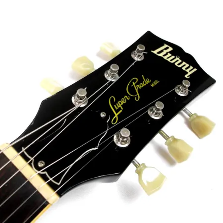 Burny RLG60 VCS Электрогитара Les Paul®, H-H, вишневый бёрст
