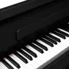 Pierre Cesar DP-17-H-BK Цифровое фортепиано, 88 клавиш, цвет черный