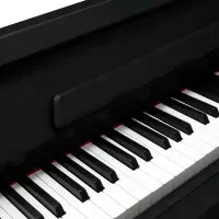 Pierre Cesar DP-17-H-BK Цифровое фортепиано, 88 клавиш, цвет черный Pierre Cesar DP-17-H-BK Цифровое фортепиано, 88 клавиш, цвет черный