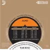 D`ADDARIO EJ43