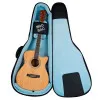 BRO BAG PAG-02BK Чехол для акустической гитары, полужесткий, чёрный