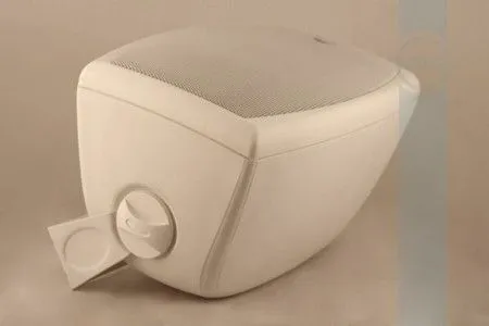 Громкоговоритель CVGaudio ODF508TBL