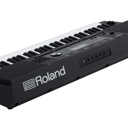 Roland E-X20