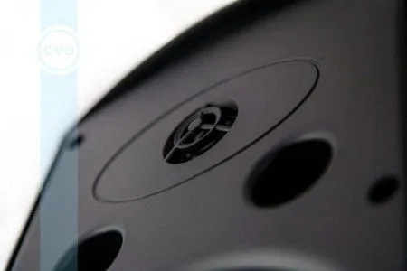 CVGaudio RF516TBl Громкоговоритель настенный, черный