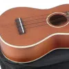 STAGG US80-S