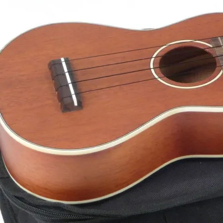 STAGG US80-S