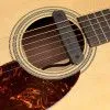 Fishman PRO-NEO-D01 Neo-D