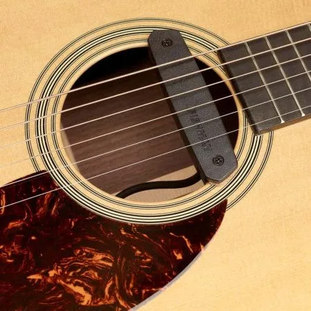 Fishman PRO-NEO-D01 Neo-D