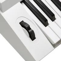 Kurzweil KP110 WH Синтезатор, 61 клавиша, полифония 128, цвет белый Kurzweil KP110 WH Синтезатор, 61 клавиша, полифония 128, цвет белый