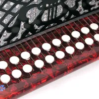 Шуйская гармонь Z44 XL Гармонь "Барыня" 25х25-IV