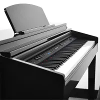 DP-150e Black Polish DP-150e Black Polish