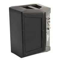 Xline NPS-8A Акустическая система активная с АКБ, 30 Вт, USB/SD/Bluetooth/FM