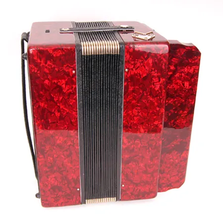 Шуйская гармонь S5XL Гармонь "Чайка-314" двухрядная 25х25-III-2