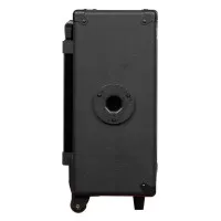 Joyo JPA863 Акустическая система портативная, 30Вт, беспроводные микрофоны в комплекте