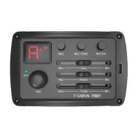 Trumon SAKURA 990 TF-E1 Гитара акустическая со звукоснимателем 41" Grand Auditorium, с чехлом