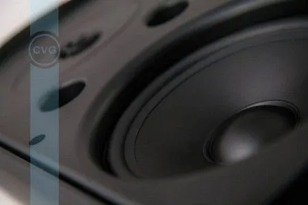 CVGaudio RF516TBl Громкоговоритель настенный, черный