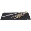 MusicNomad MN208
