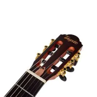 Tayste TS-CG100-N Электроакустическая классическая , 4/4, цвет натуральный