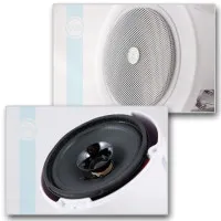 Громкоговоритель CVGaudio CRW4T