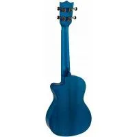 Flight AUC33 City Укулеле концерт, Elise Ecklund, серия Art, с чехлом