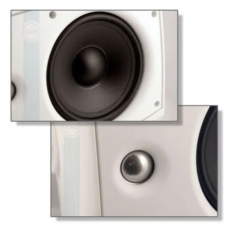 Громкоговоритель CVGaudio ODF608TBL