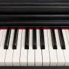 ROCKDALE Etude 64 (RDP-5088) Black Пианино цифровое, цвет чёрный