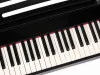 Nux NPK-10-BK
