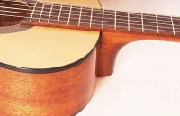 Cort AC100-SG