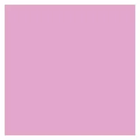 ROSCO SUPERGEL №337 True Pink - Светофильтр пленочный цвет розовый (лист 50х61см) ROSCO SUPERGEL №337 True Pink - Светофильтр пленочный цвет розовый (лист 50х61см)