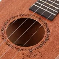 Enya EUT-20 Укулеле тенор с фирменным чехлом в комплекте