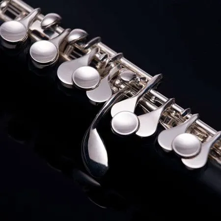 John Packer JP114 Флейта-пикколо С, композит