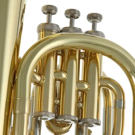 ROY BENSON BH-301 Баритон помповый, традиционной компоновки