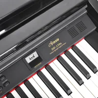 DP-150e Black Polish DP-150e Black Polish