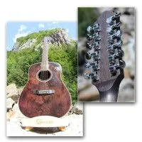 Гитара 12-струнная электроакустическая CRAFTER MD-70-12EQ/TBK