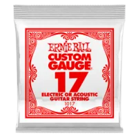 Ernie Ball .017
