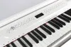 SOLISTA P115WH