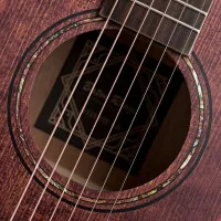 BATON ROUGE X11S/FJE-AB Гитара электроакустическая с вырезом, цвет antique brown, матовый лак BATON ROUGE X11S/FJE-AB Гитара электроакустическая с вырезом, цвет antique brown, матовый лак