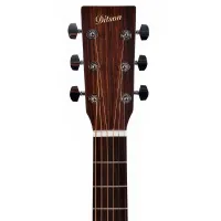 DITSON G-10 DITSON G-10