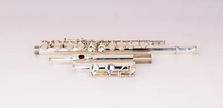 Fleet FLT-FL-16S Флейта 16 отверстий, посеребренная