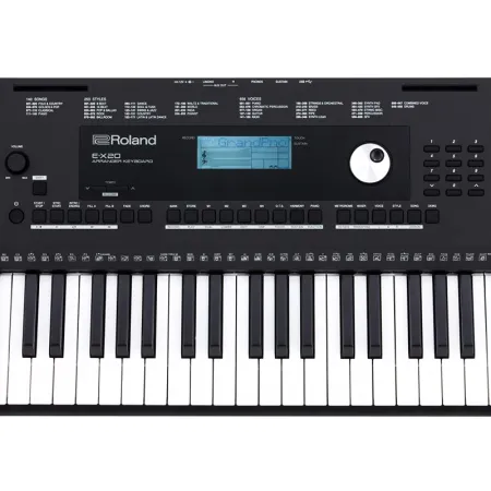 Roland E-X20