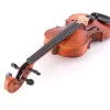Kryštof Edlinger M600 4/4 Скрипка с аксессуарами