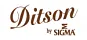 DITSON GUITARS