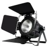 STAGE4 STAGE PAR COB150XW Прожектор светодиодный 